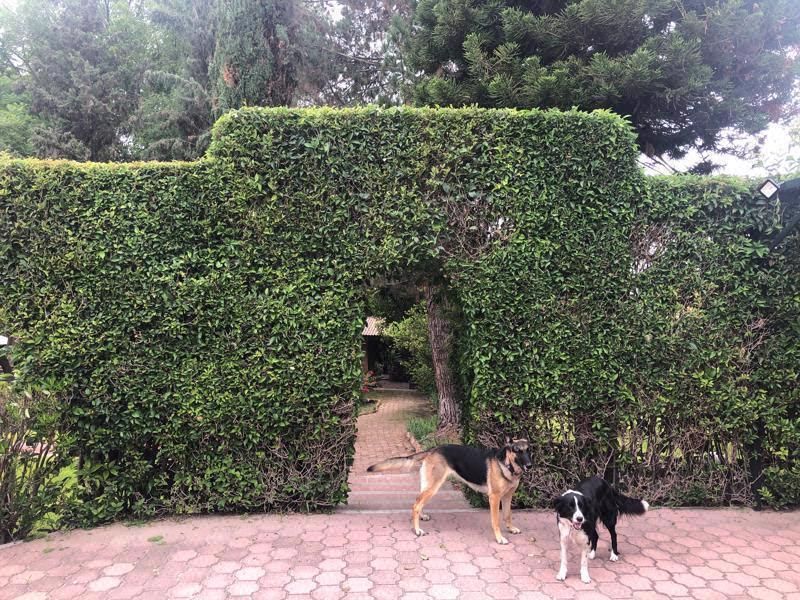 Tlacote queretaro casa en venta con alberca corrales e invernadero
