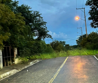 2 de 4
