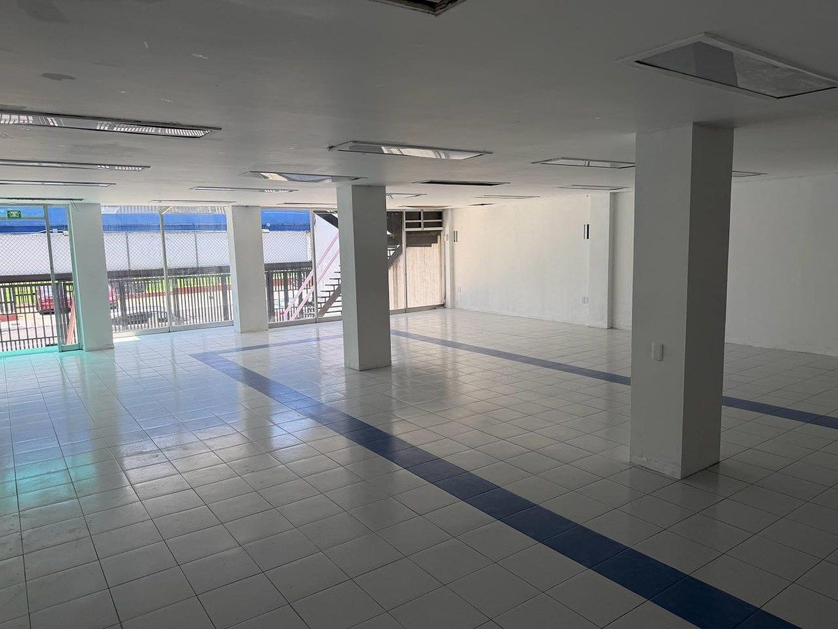 Retail Space in Las Águilas 1a Sección, Álvaro Obregón, photo 8 of 16