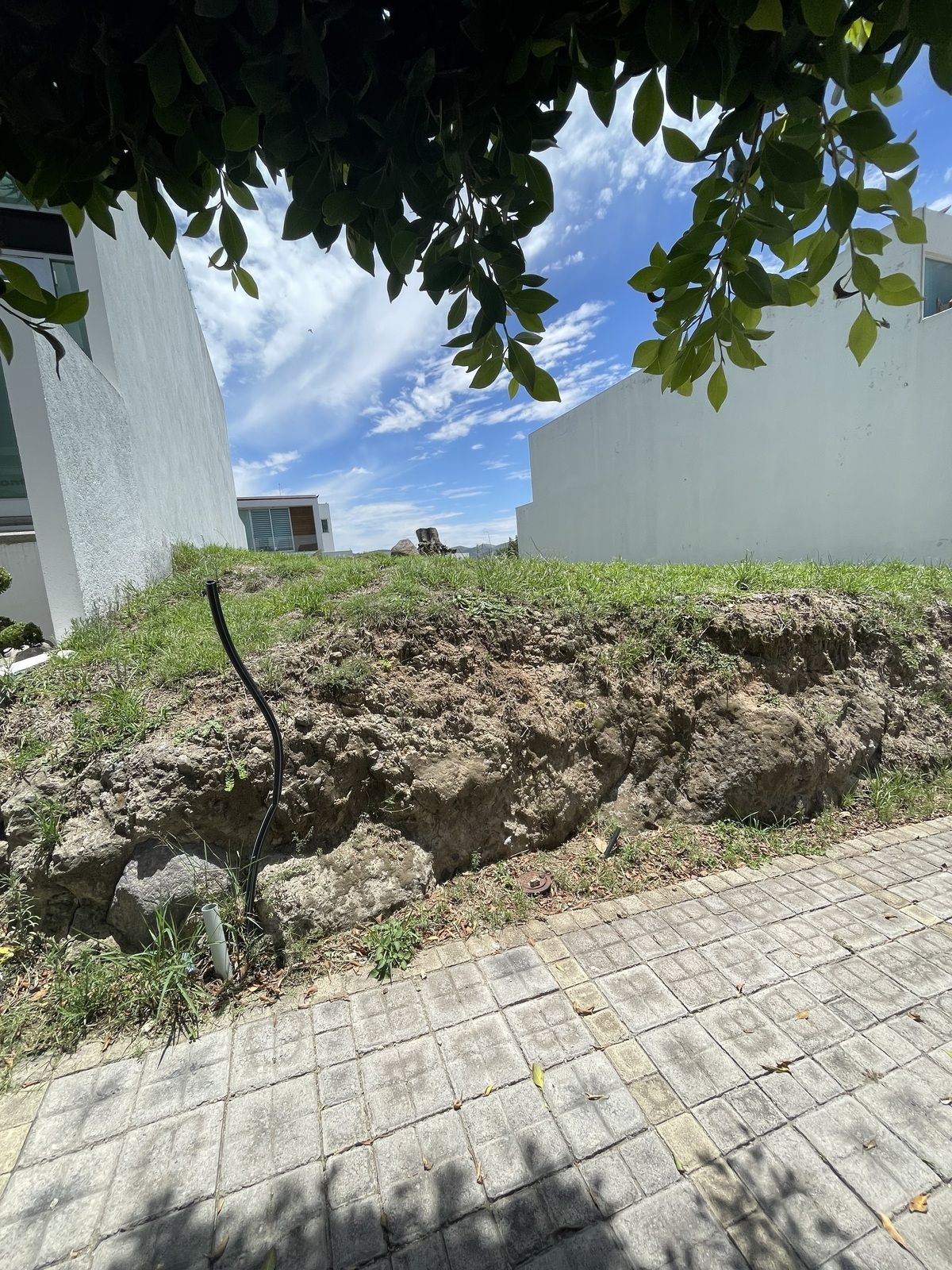Imagen 1 de 5