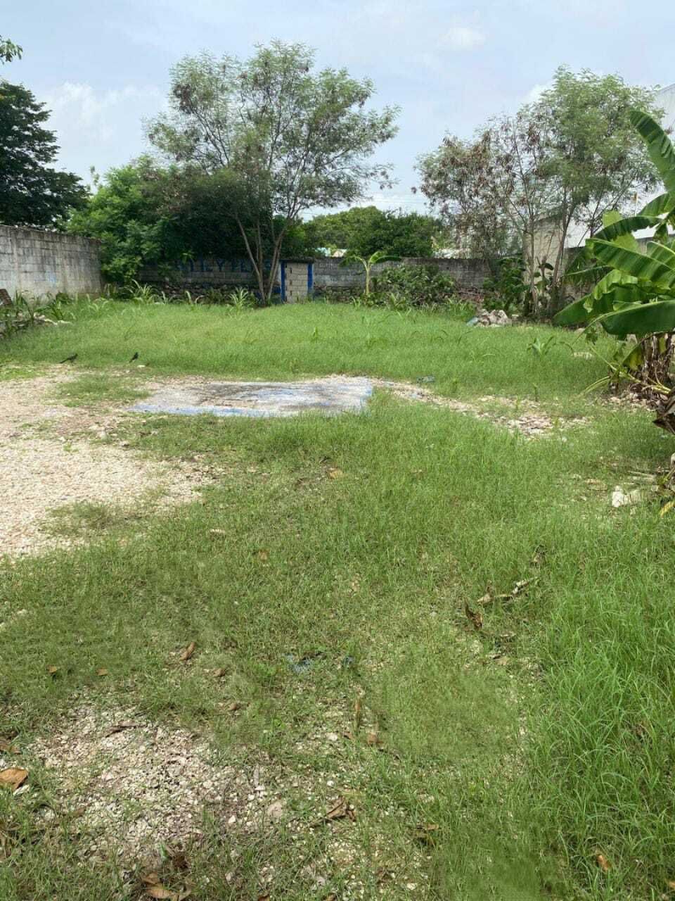 1 de 3