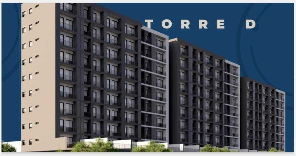 10 de 17