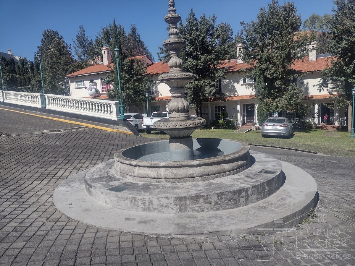 24 de 24