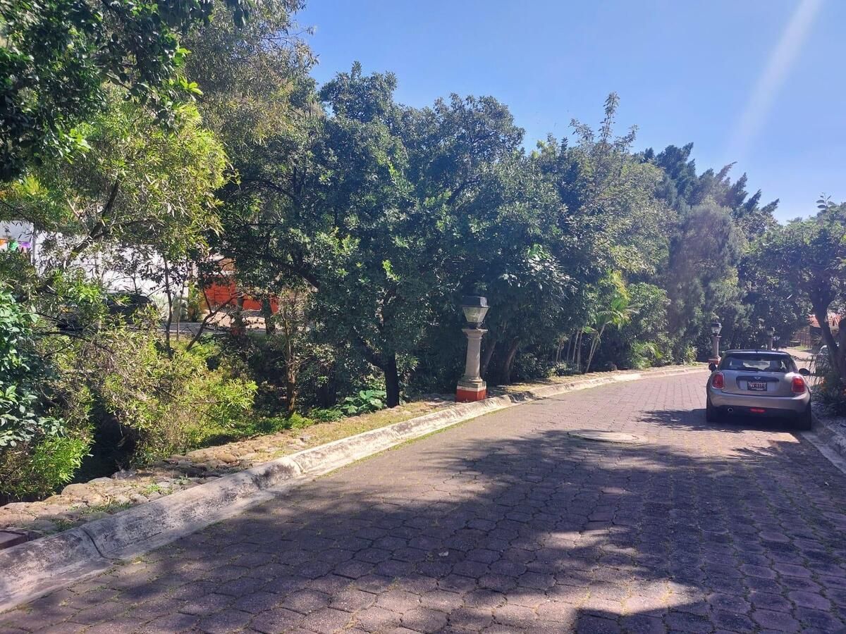 31 de 31