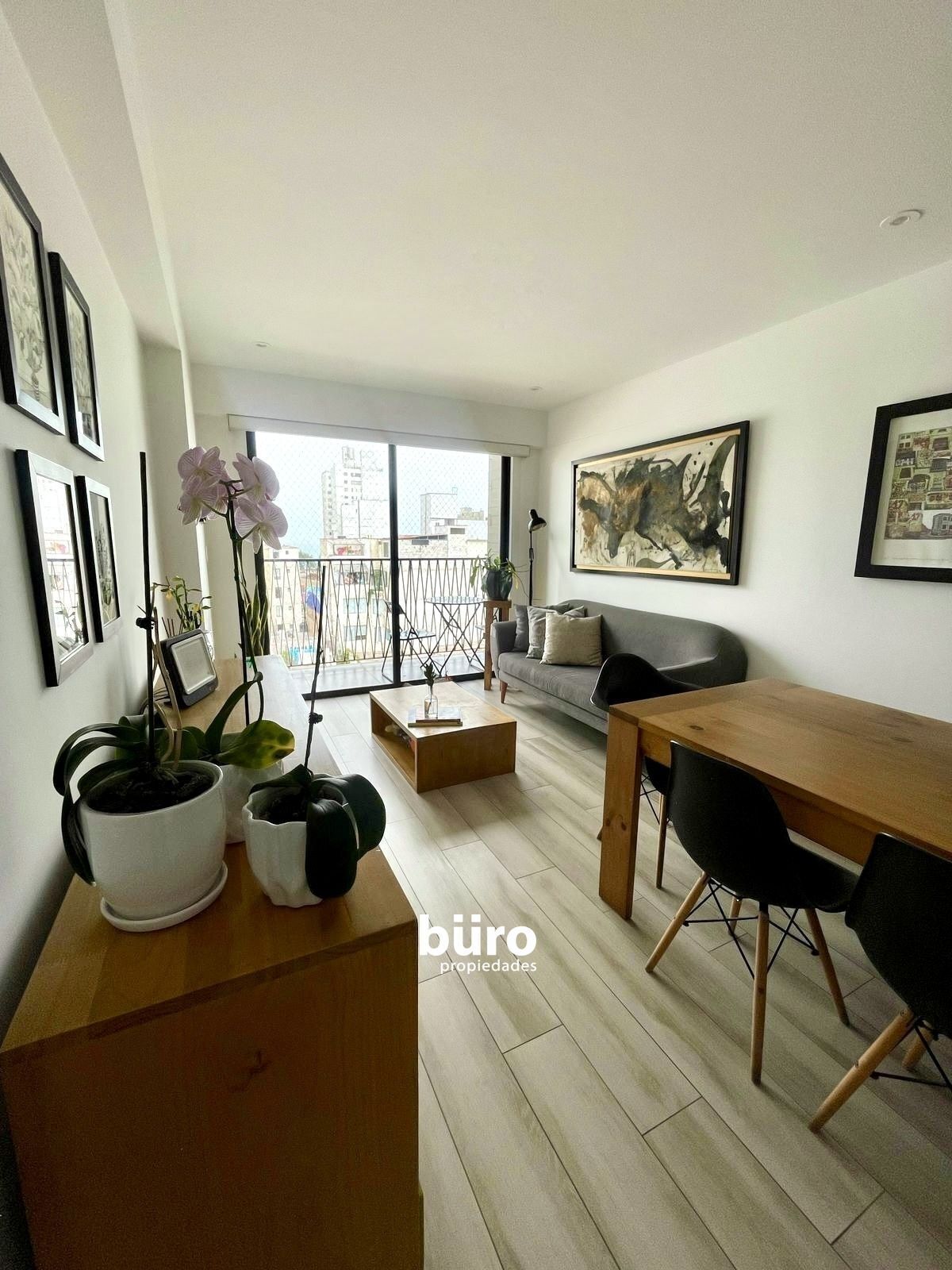 1 de 13: sala y comedor