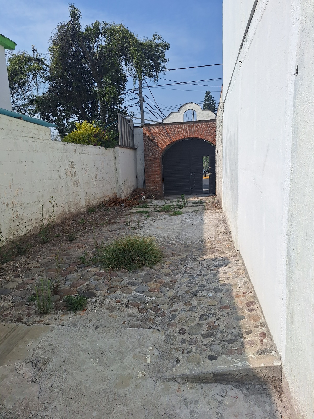 7 de 8