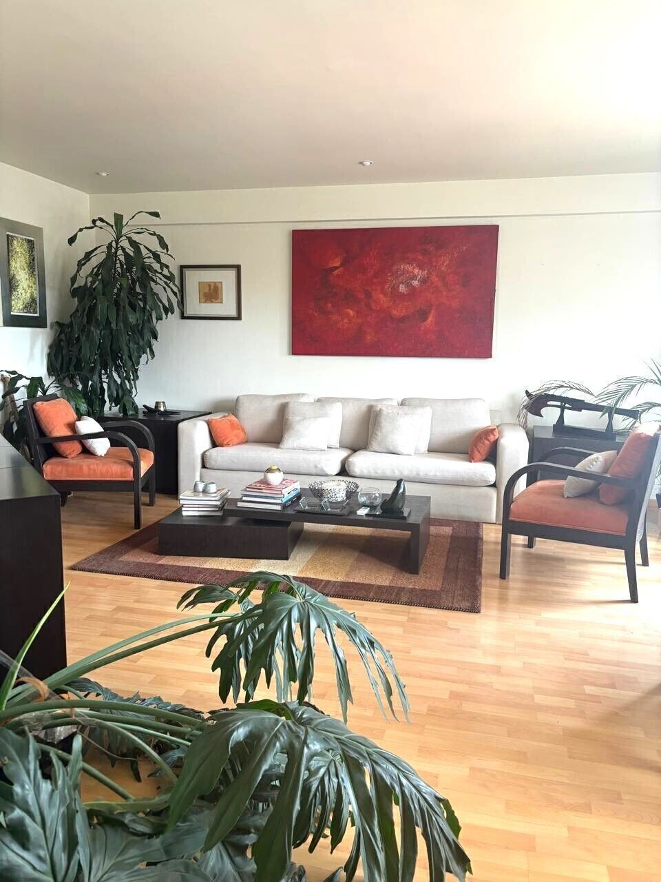 Departamento Renta Amueblado Vista Alta