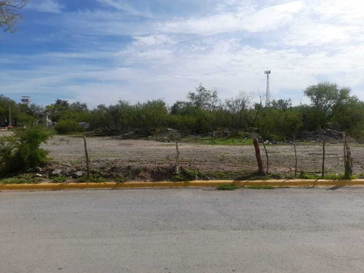 Imagen 7 de 10
