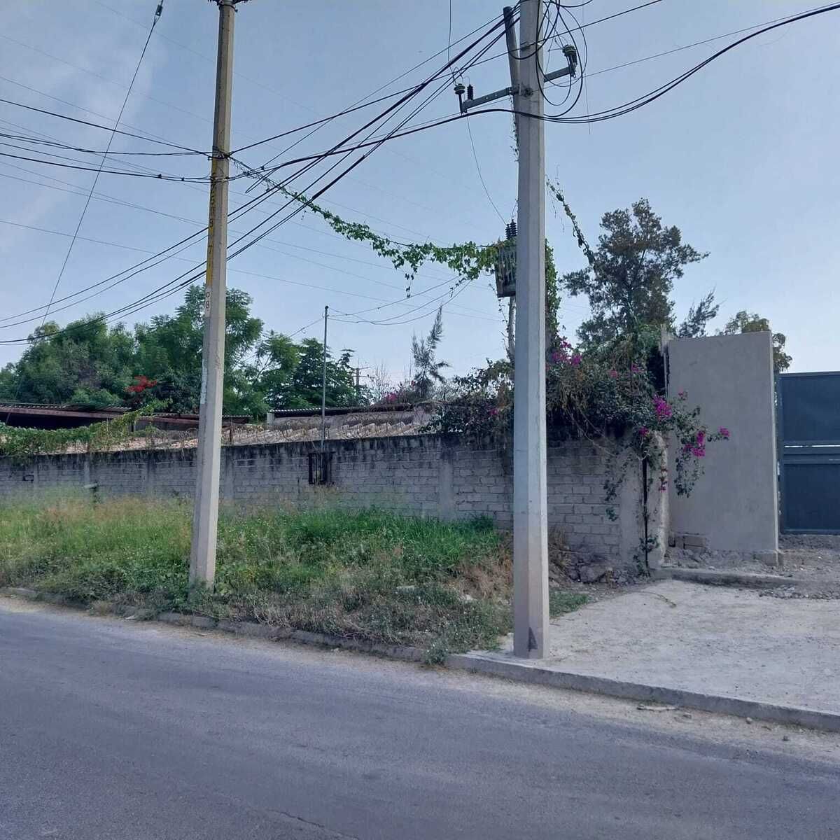 2 of 8