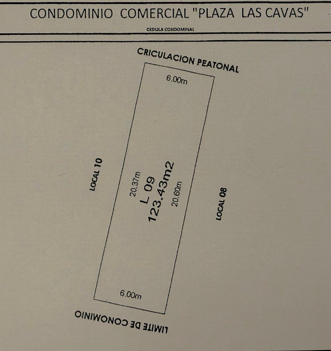 15 de 15