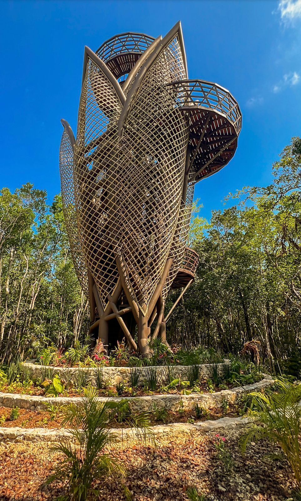 30 de 38: Mirador espectacular a la selva