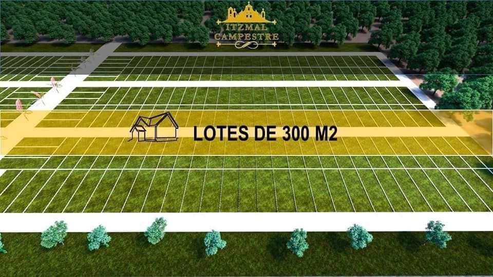 1 de 10