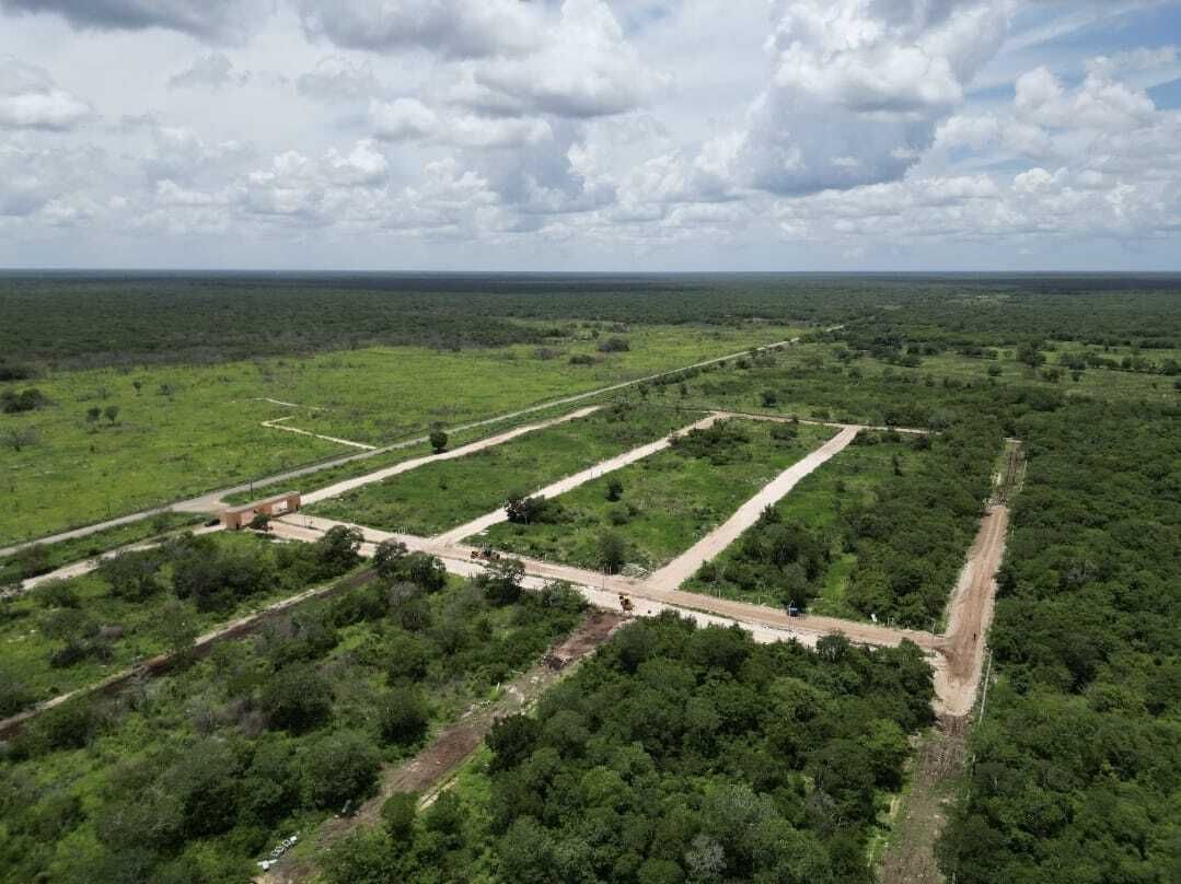 8 de 10