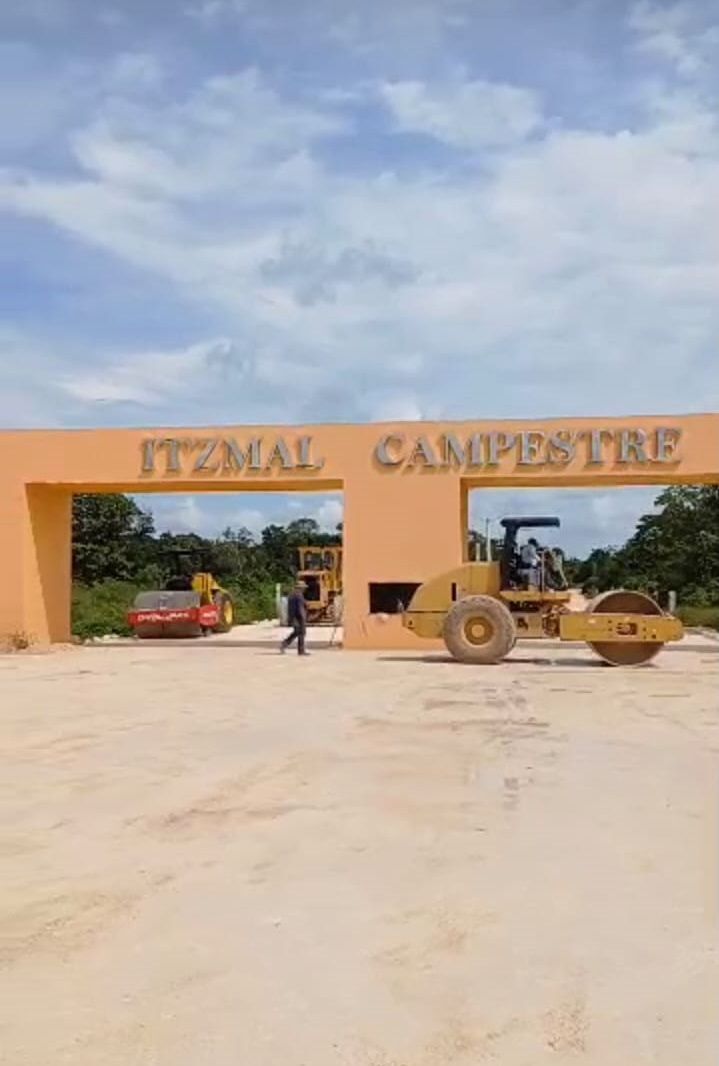 10 de 10