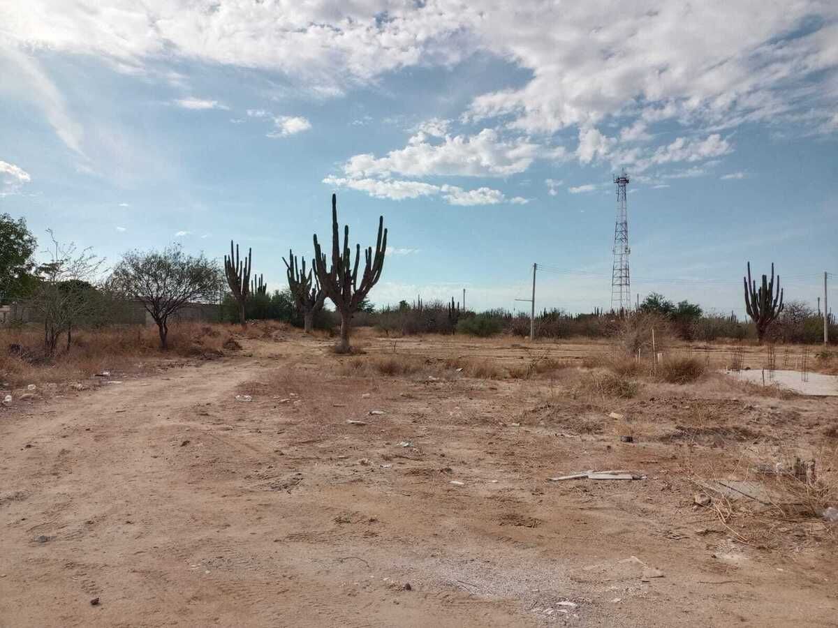 3 de 8