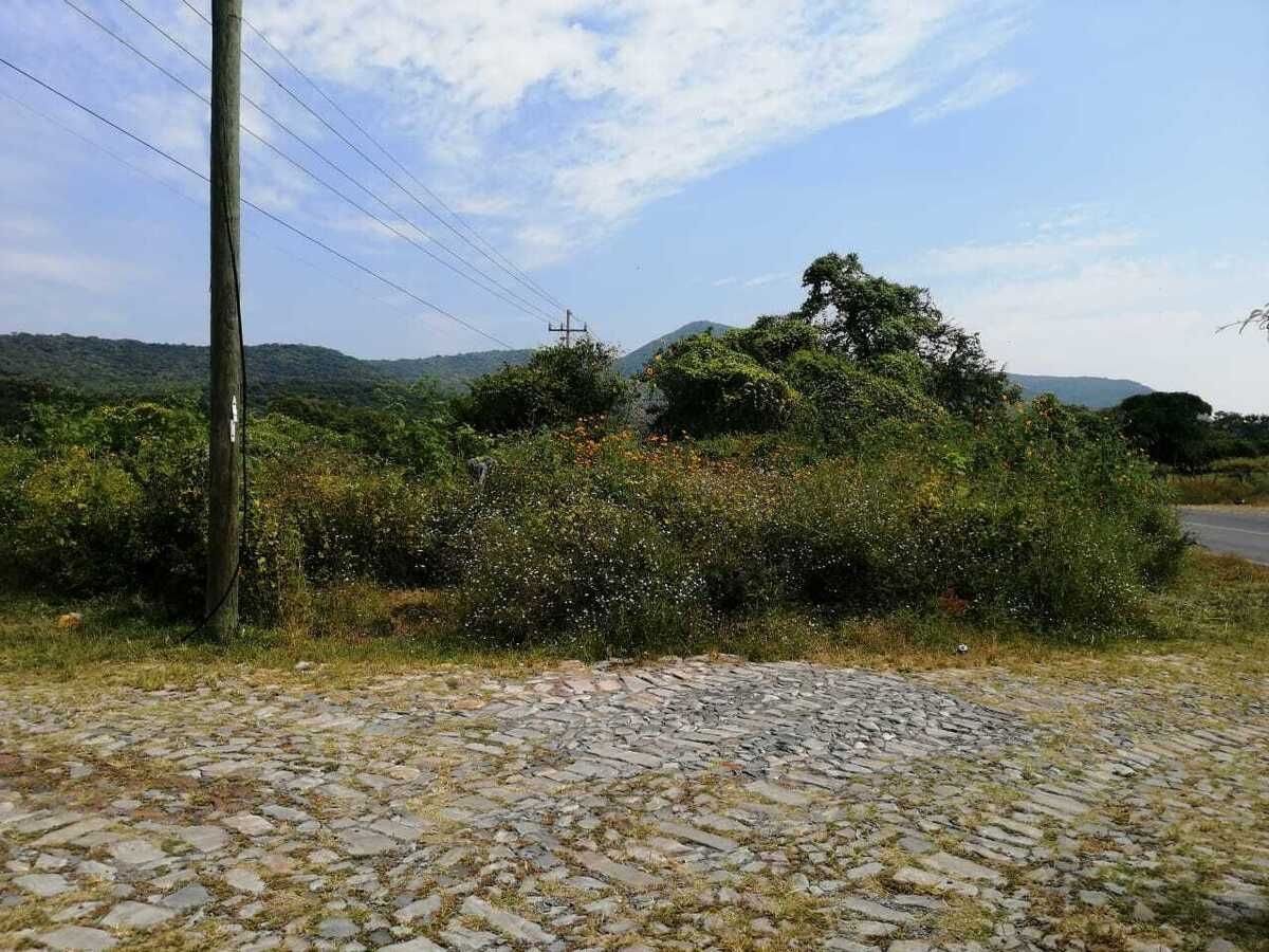 VERDADERA OPORTUNIDAD, TERRENO EN VENTA POR CHAPALA MEZCALA. - foto 3