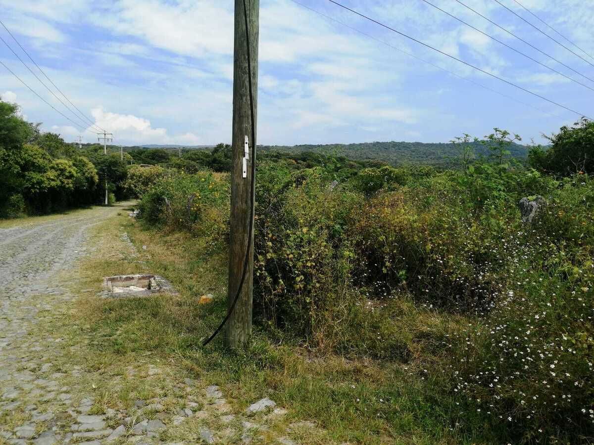 VERDADERA OPORTUNIDAD, TERRENO EN VENTA POR CHAPALA MEZCALA. - foto 5