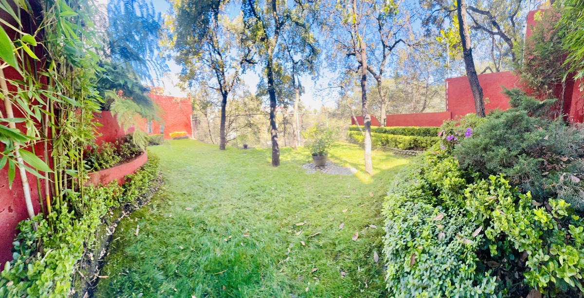 45 de 49