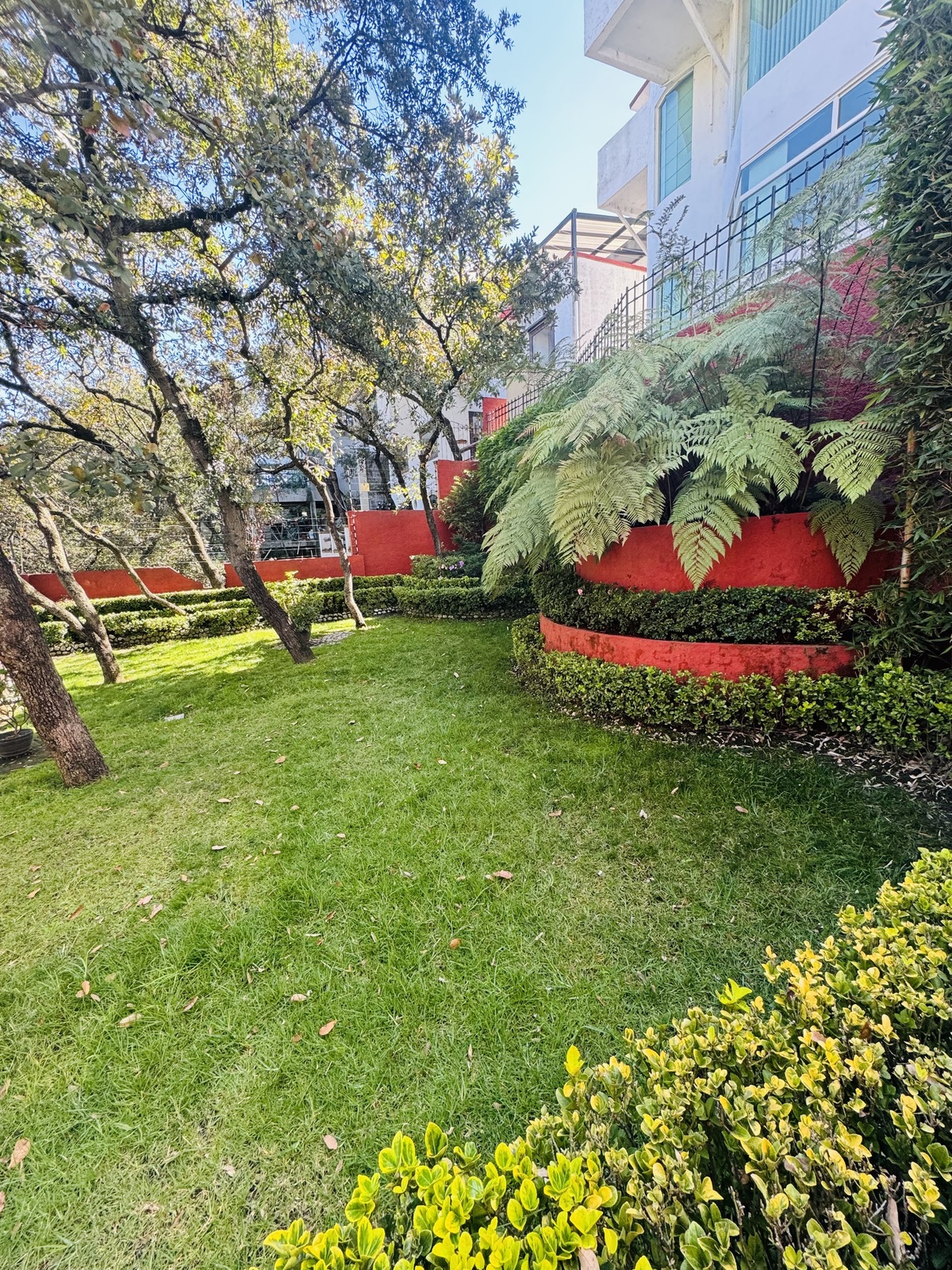 43 de 49