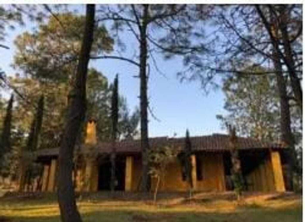 Land for sale Goya Santa Anita - foto 3