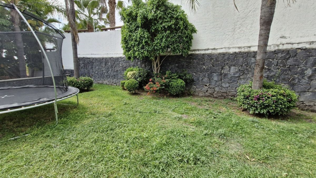 29 de 43