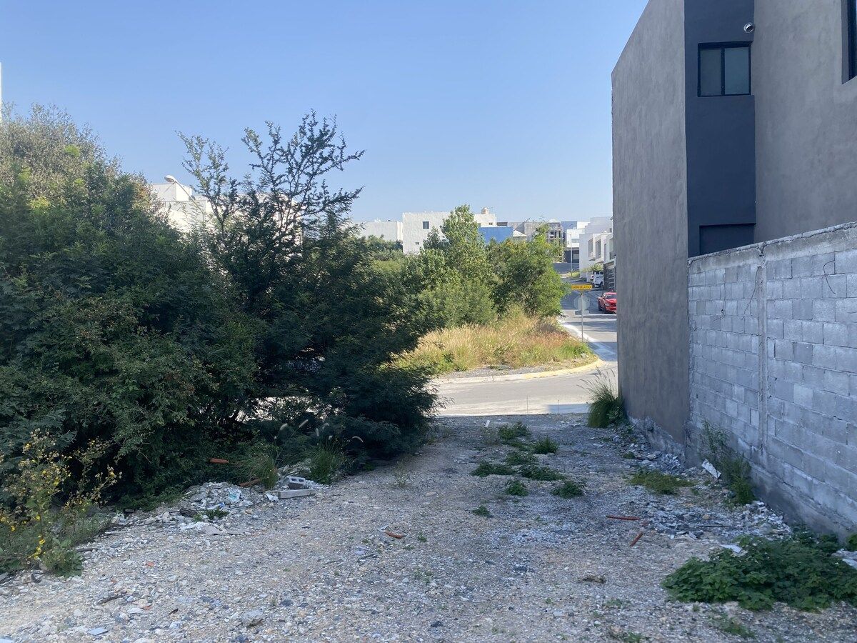 Dentro del terreno