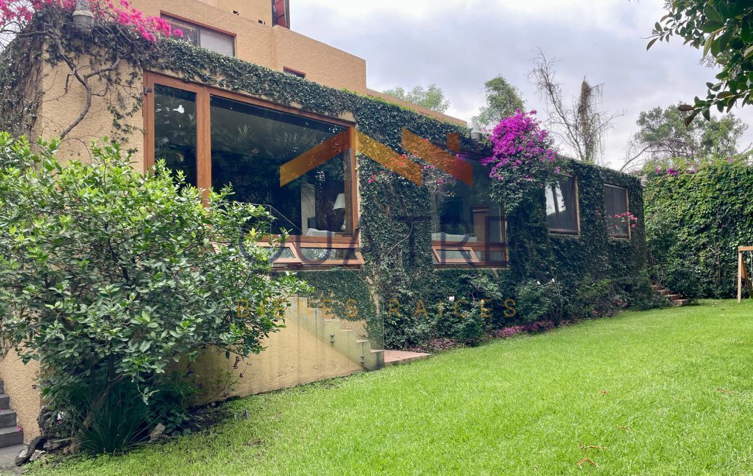 Fachada de la entrada de la Biblioteca desde el jardin