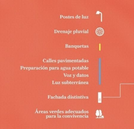 4 de 6