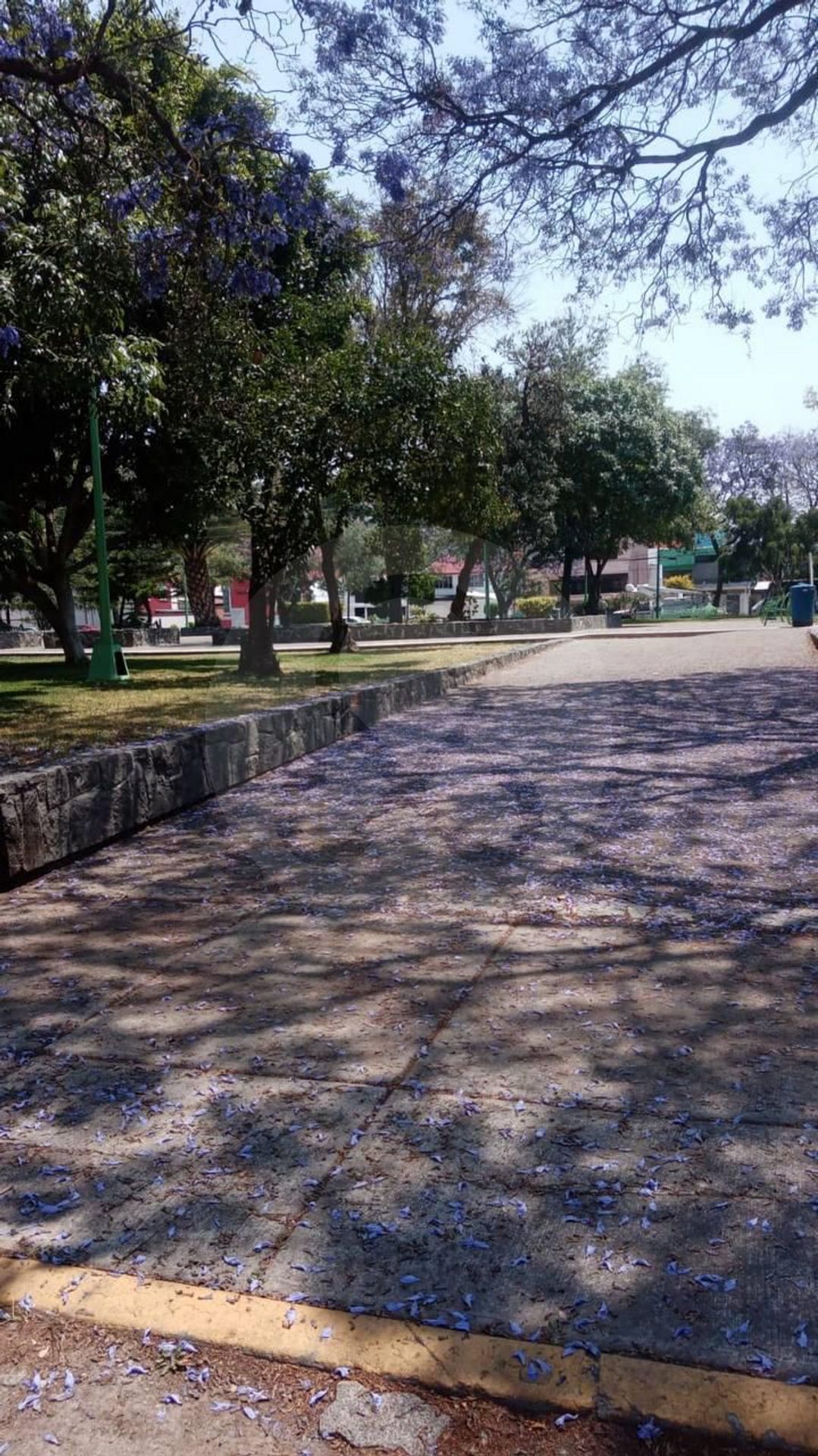 30 de 30