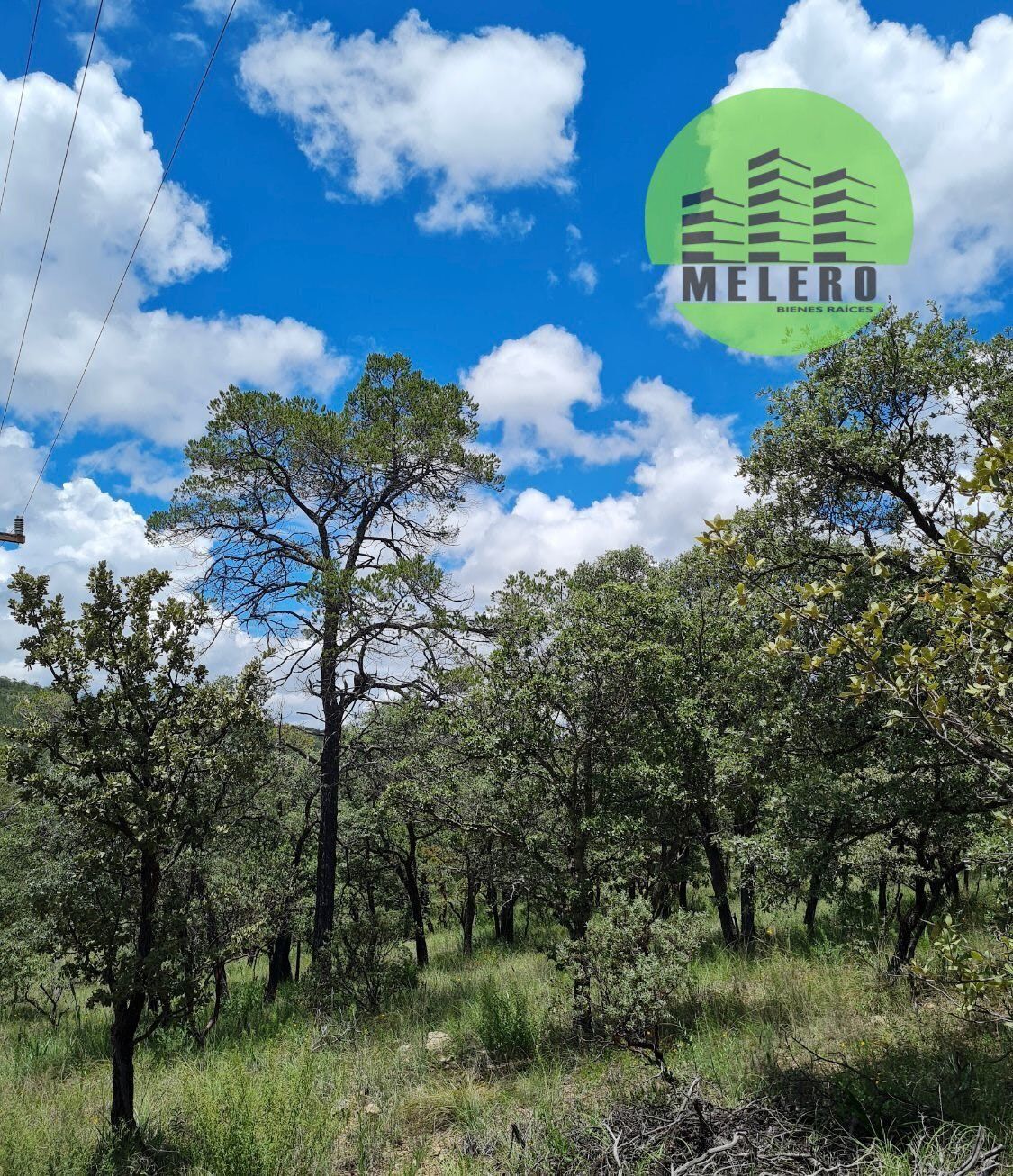 Terreno en Venta en Fracc. Bosques de Montesión