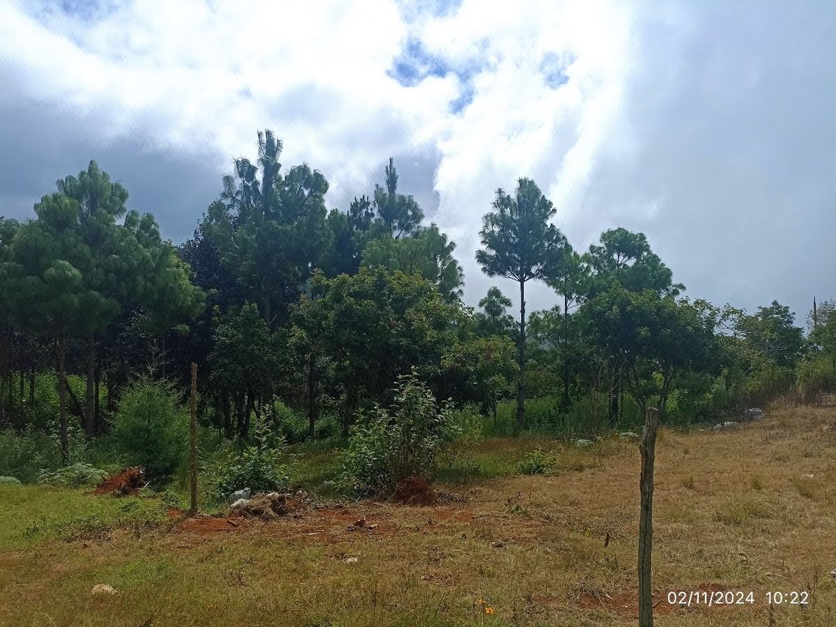Terreno en venta
