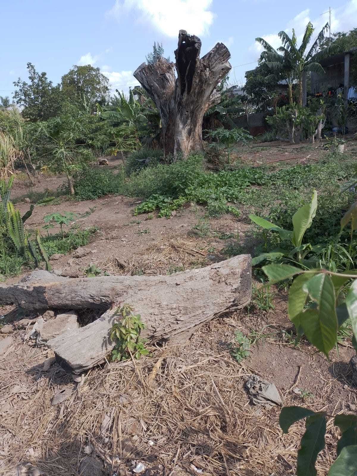 Terreno de 300 m2 en venta en La Bocana. MEDELLÍN, VER. CERCA HOSPITAL COVADONGA
