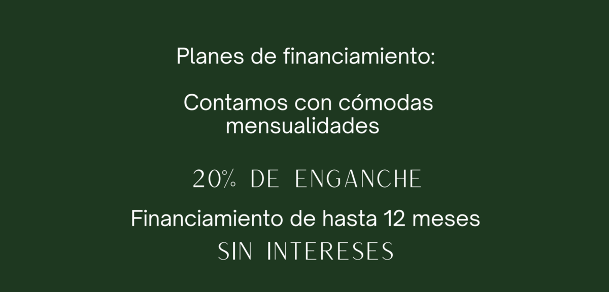 2 de 11