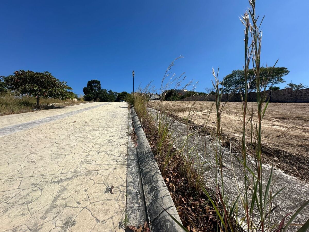 8 de 10: Lotes urbanizados listos para ser desarrollados.