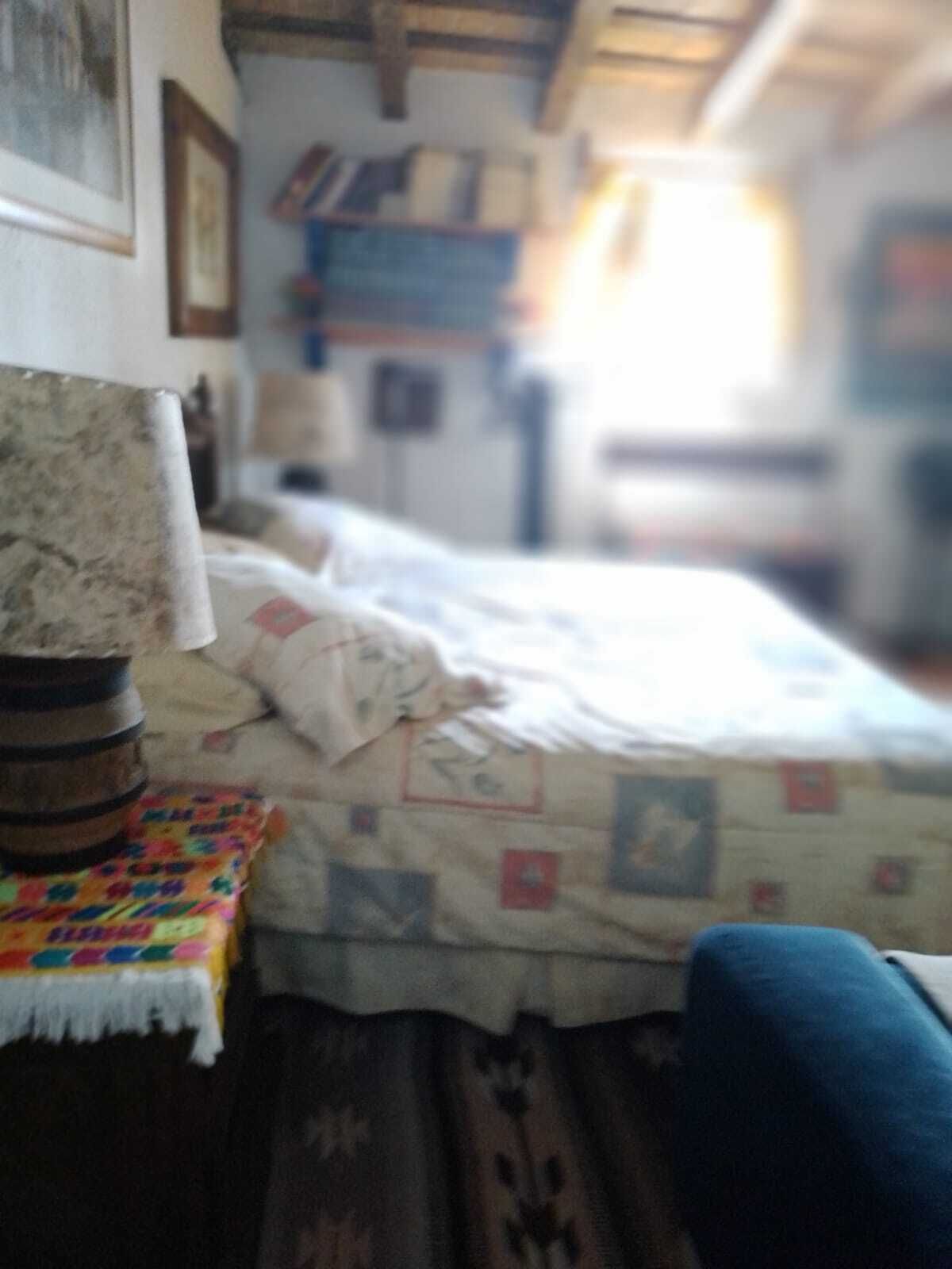Imagen 4 de 6