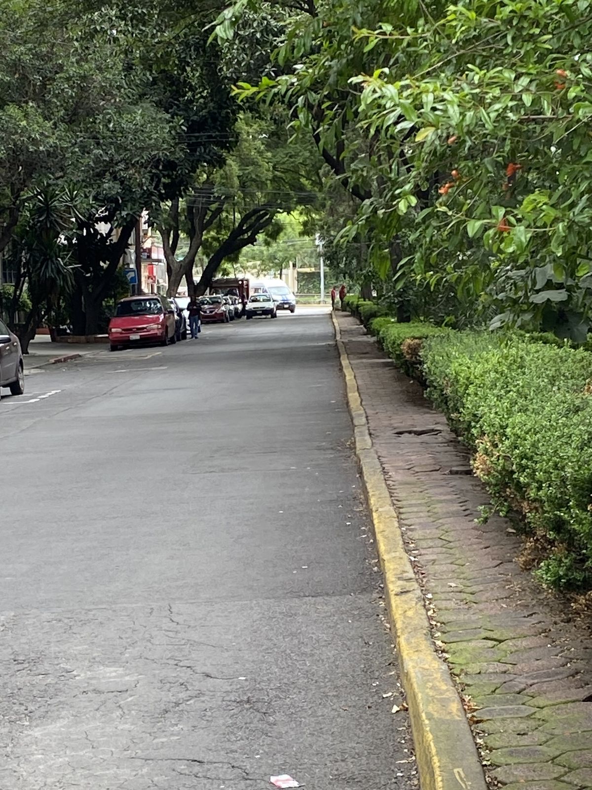 5 de 35
