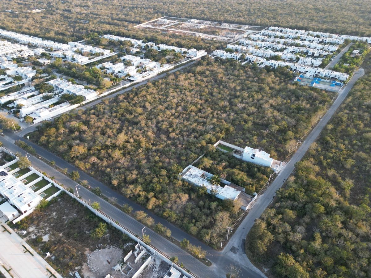 Terreno en Cholul, Mérida, foto 4 de 6