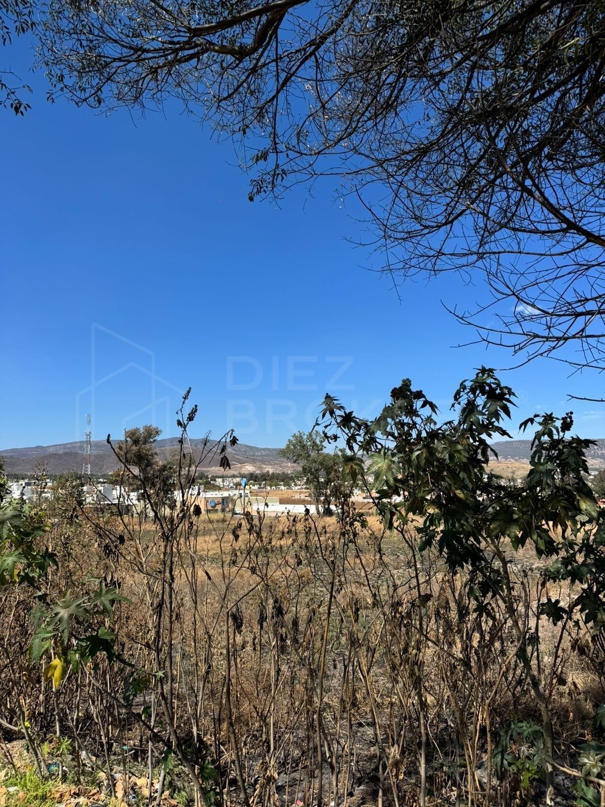 Terreno en Venta en Av. López Mateos a un costado de plazas Outlet - foto 3