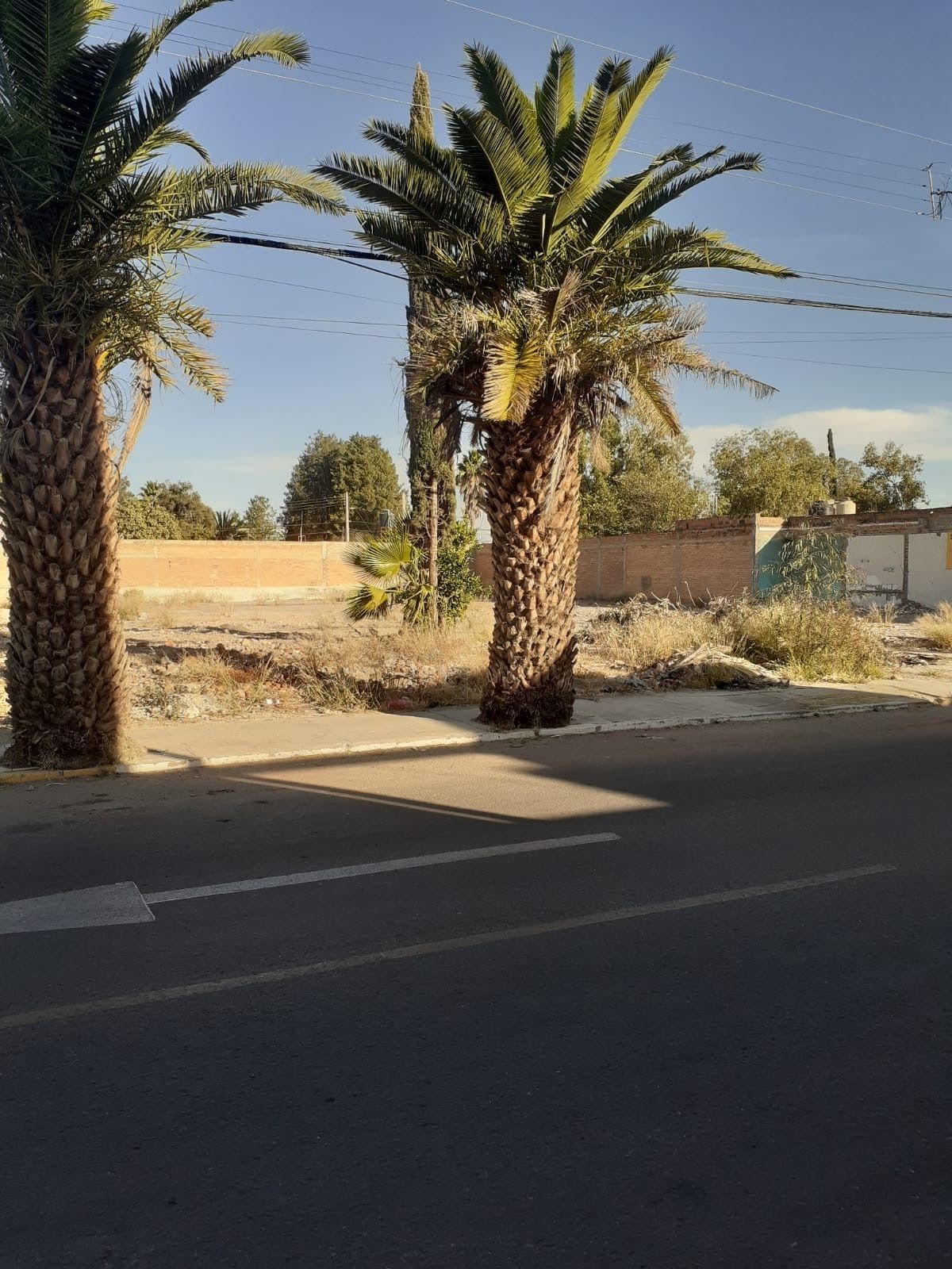 2 de 5