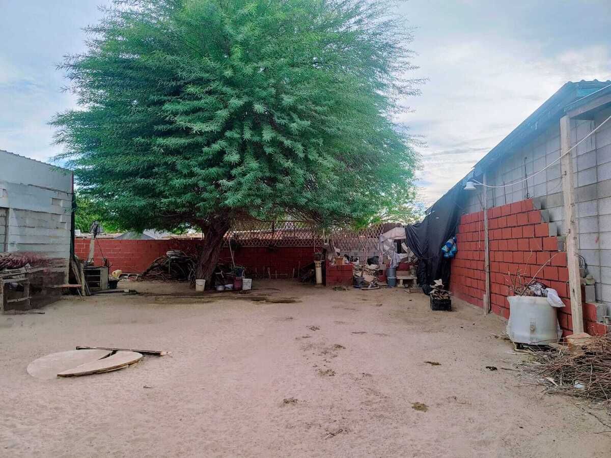 3 de 6