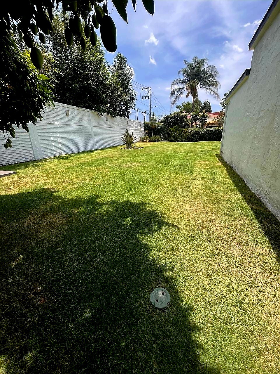 1 de 9