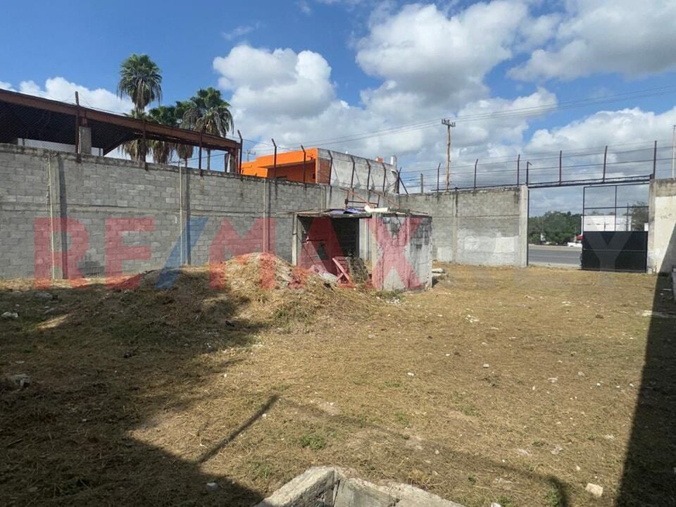 5 de 14
