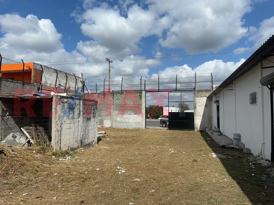 4 de 14