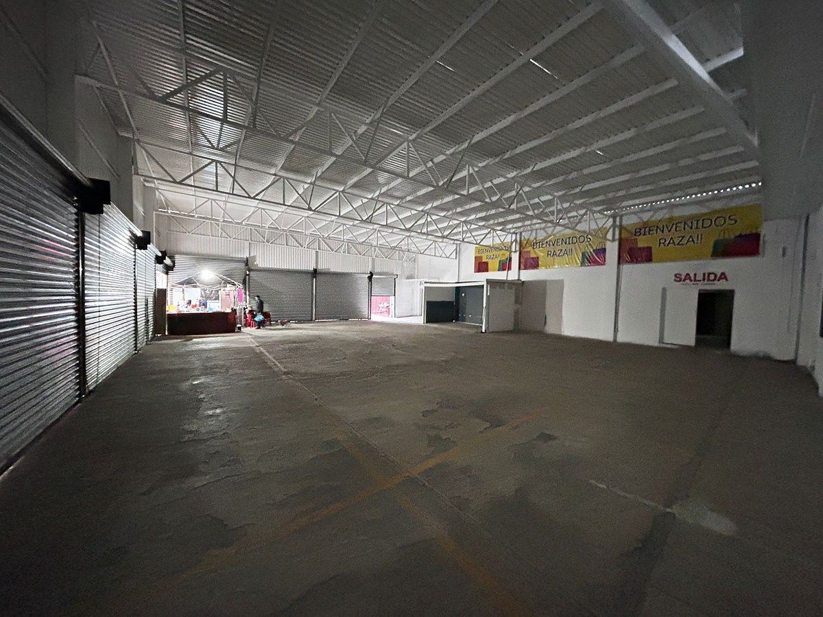 5 de 11: BODEGA PRINCIPAL