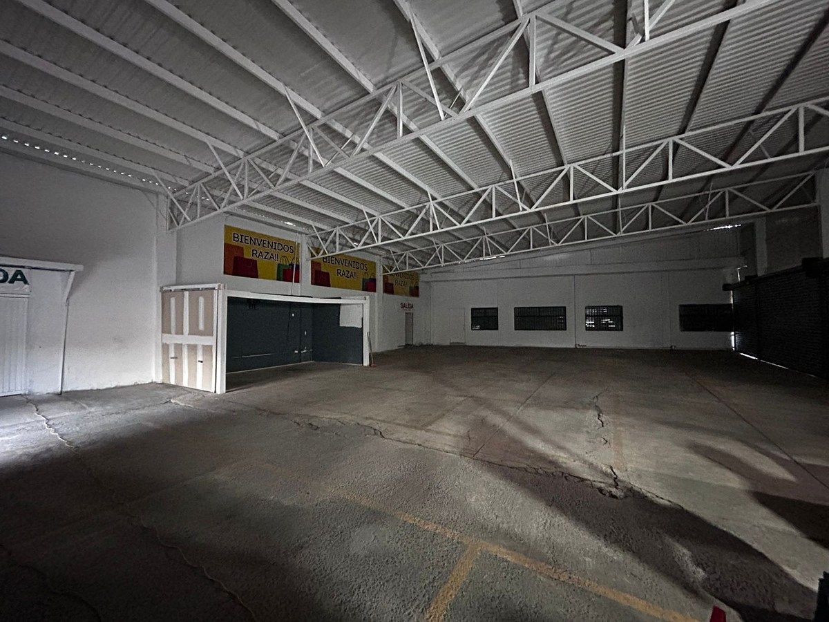 6 de 11: BODEGA PRINCIPAL