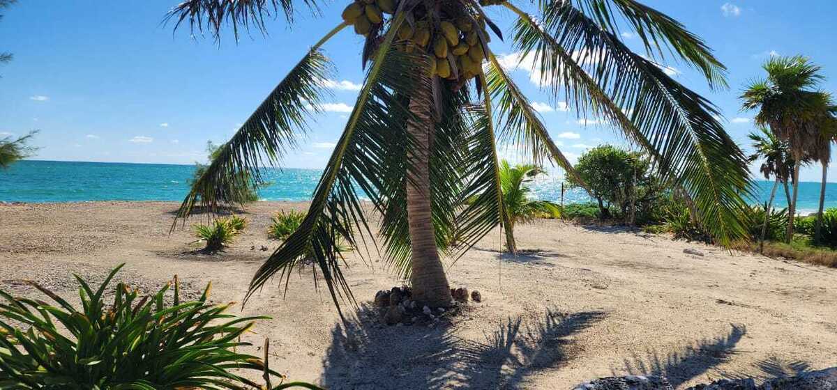 1 de 11: ISLA BLANCA LOTE VENTA