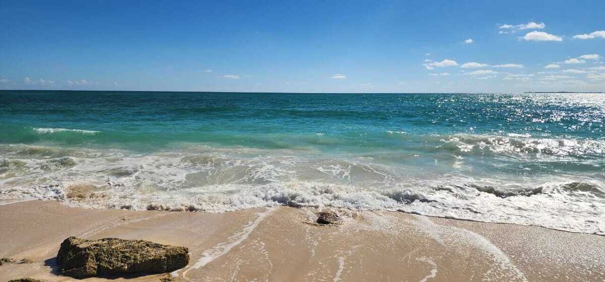 7 de 11: ISLA BLANCA TERRENO VENTA