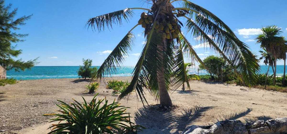 10 de 11: PAPELES EN REGLA TERRENO ISLA BLANCA