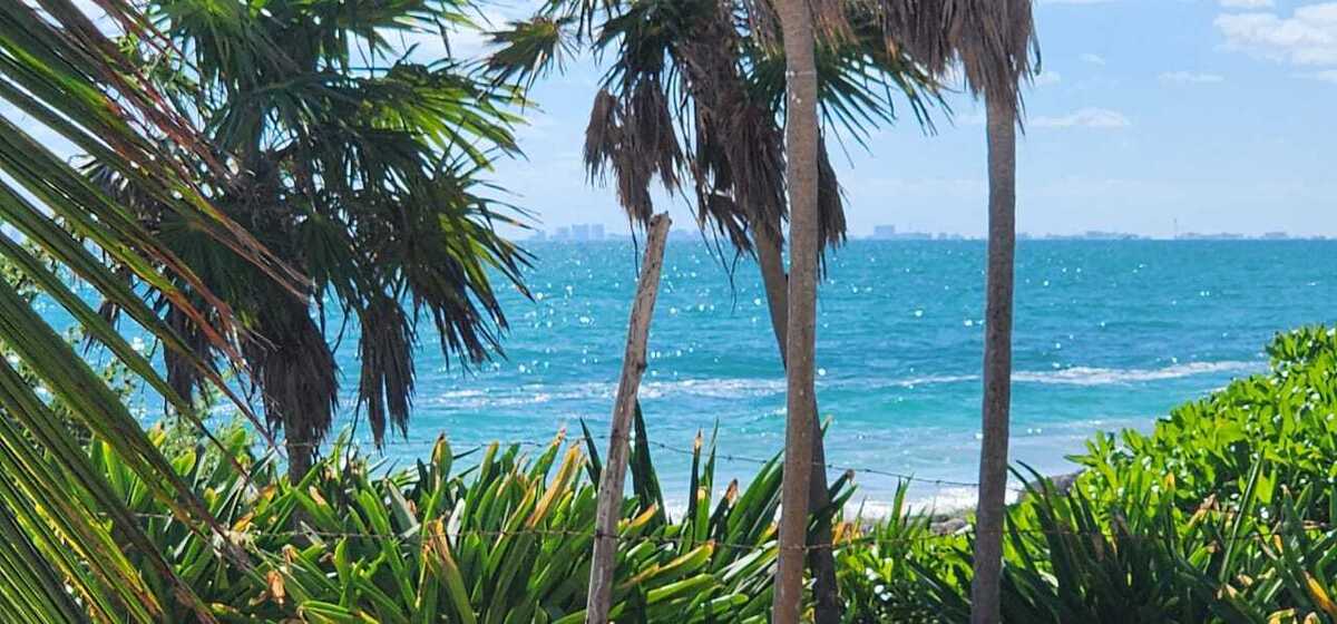 2 de 11: 25 METROS FRENTE AL MAR