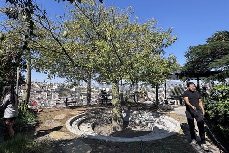 Venda Apartamento na Torre Plus perto da La Hermosa Provincia